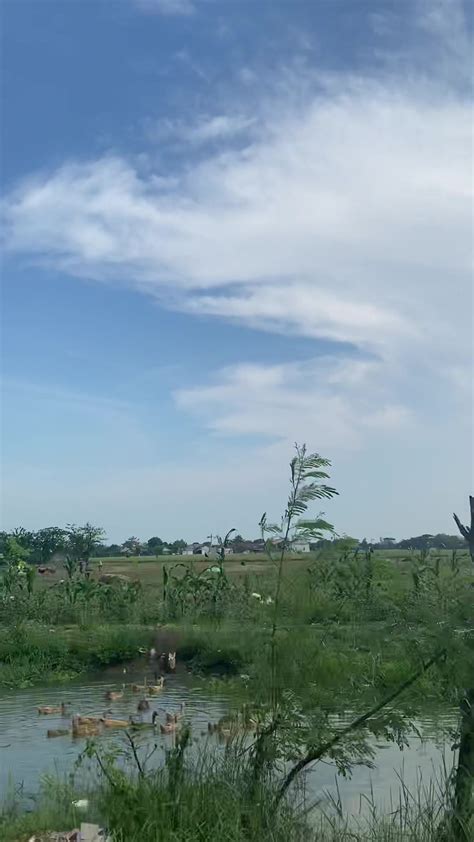 Karawang Video